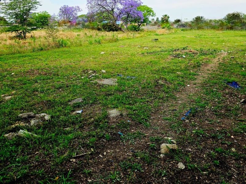 A view of a vacant residential plot featuring established trees and natural grass cover.