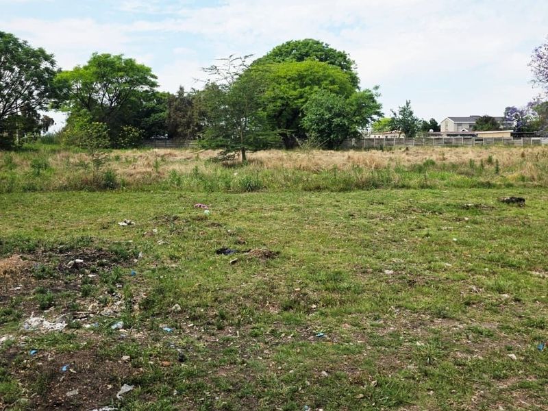A vacant residential plot featuring established trees and perimeter fencing, offering a blank canvas for future development.