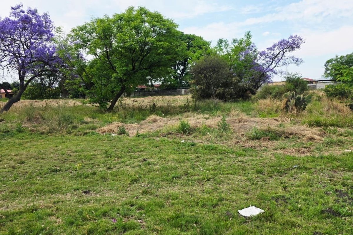 A view of a vacant residential plot featuring established trees and natural grass cover.