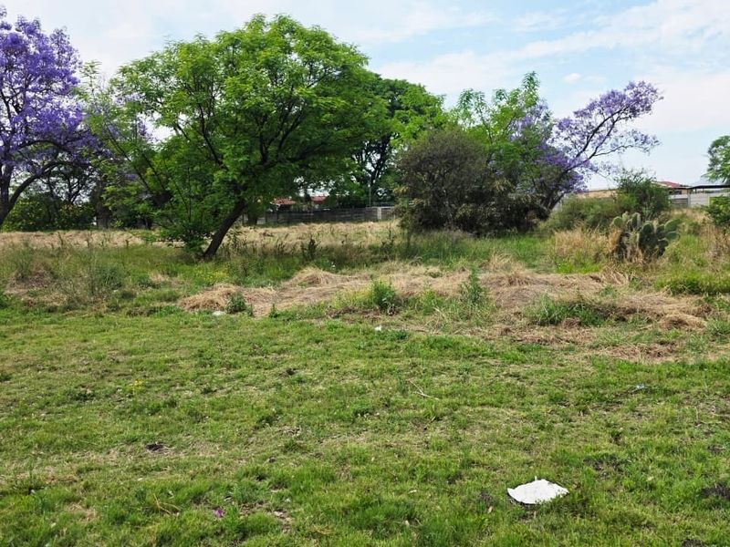 A view of a vacant residential plot featuring established trees and natural grass cover.