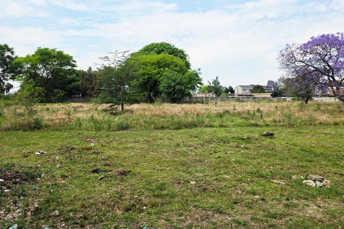 A vacant residential plot featuring established trees and perimeter fencing, offering a blank canvas for future development.