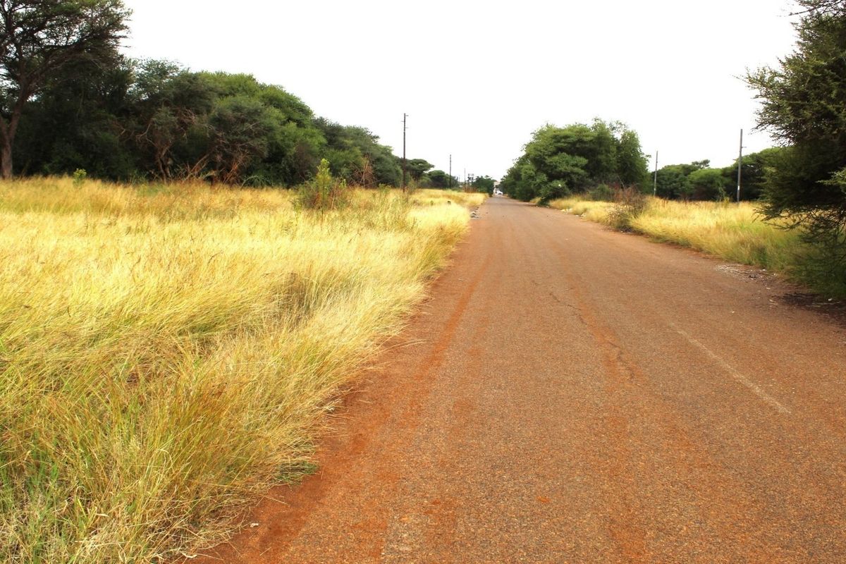 A view of a paved road passing through a vacant residential area with natural vegetation and utility poles visible along the roadside.