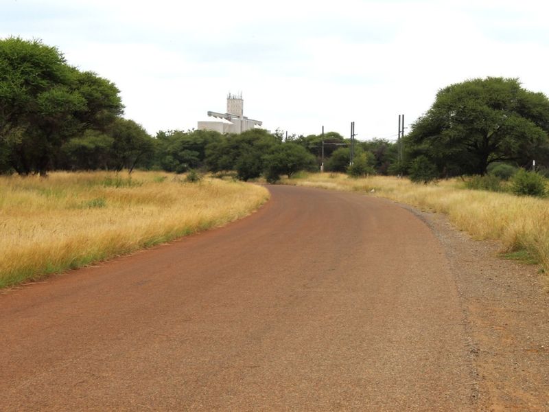 A view of a paved road leading through a rural landscape with indigenous trees and natural grassland.