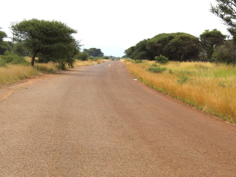 A view of the paved road providing access to the vacant land property, surrounded by natural vegetation and trees.
