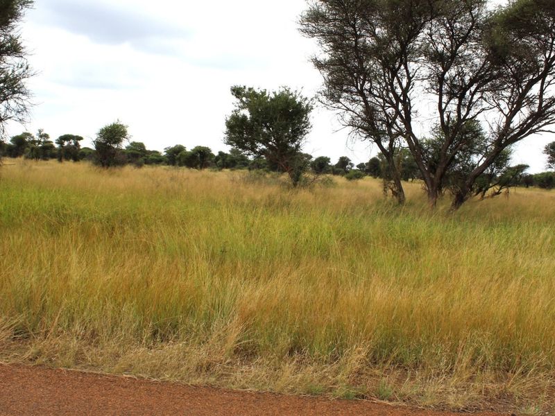 A view of a vacant residential plot featuring natural grassland and mature native trees.