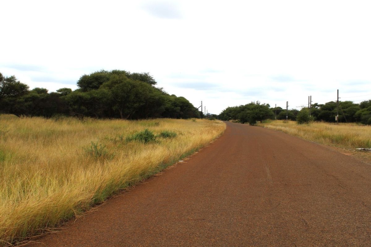 A view of a paved road running alongside a vacant residential plot with natural grass and trees.