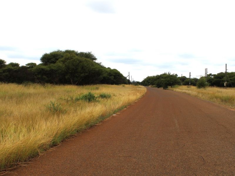 A view of a paved road running alongside a vacant residential plot with natural grass and trees.