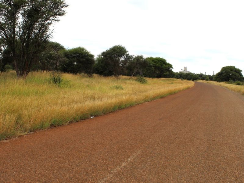 A view of the paved road frontage adjacent to the vacant residential land, featuring natural grass and established trees.