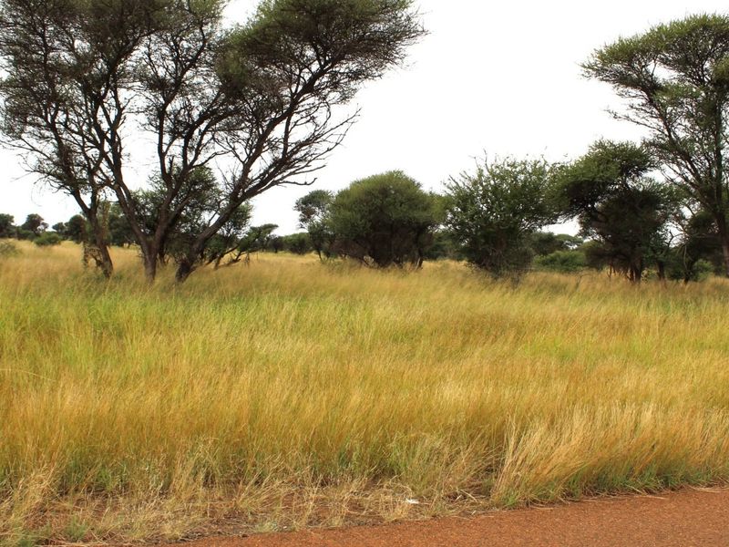 A view of a vacant residential plot featuring natural grassland and established native trees.