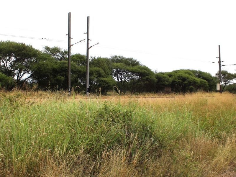A view of a vacant residential plot featuring natural grass cover, mature trees, and overhead utility infrastructure.