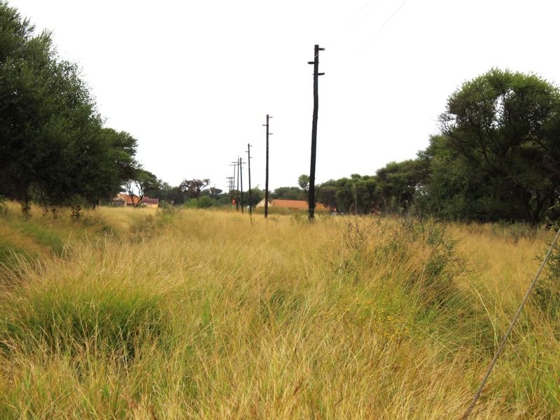 A view of a vacant residential plot featuring native grass, mature trees, and existing utility infrastructure including power lines.