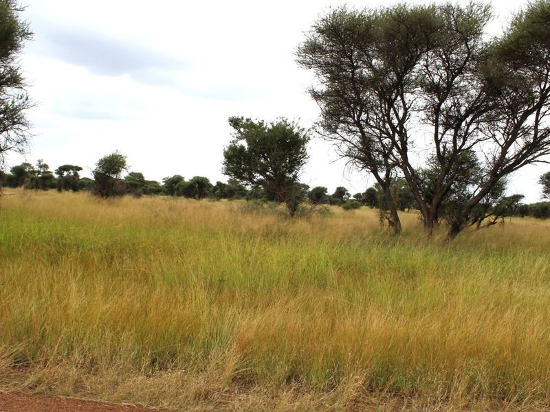 A view of the vacant residential land featuring natural grassland and mature native trees.