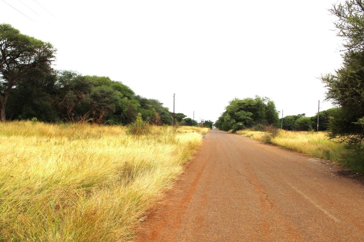 A view of an unpaved road leading through a vacant residential area with natural vegetation and overhead power lines.