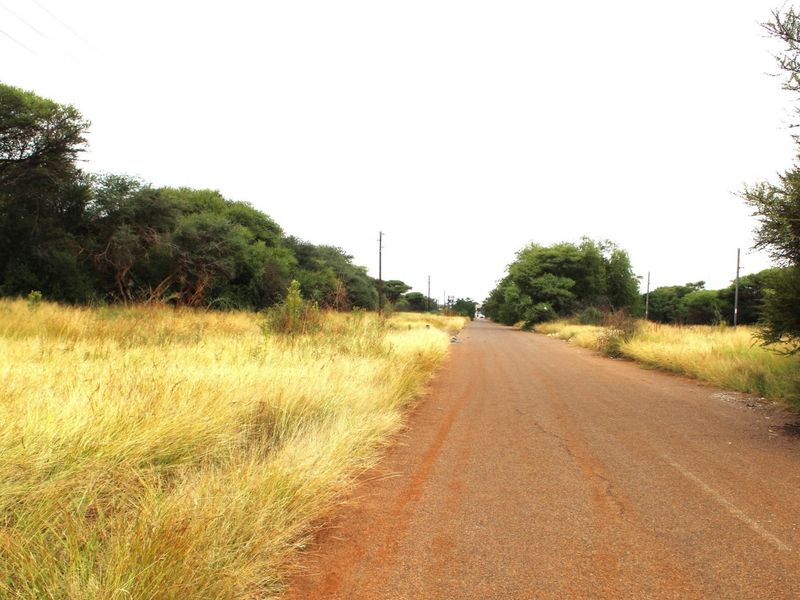 A view of an unpaved road leading through a vacant residential area with natural vegetation and overhead power lines.