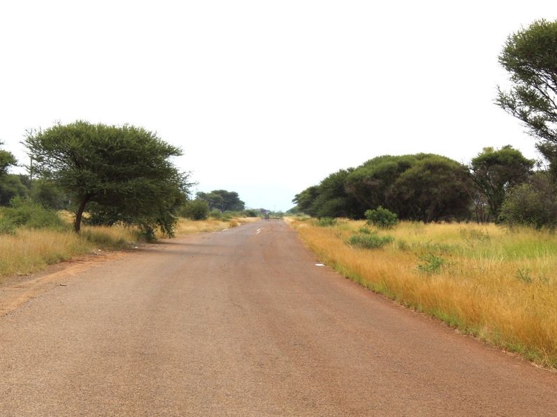 A view of the asphalt road leading towards the vacant residential land, surrounded by native trees and dry grass.