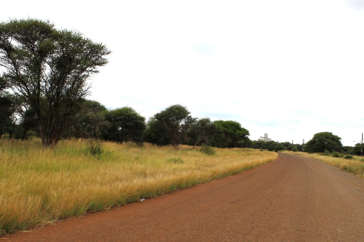 A view of a rural unpaved road bordered by native trees and dry grassland, typical of vacant residential land access.