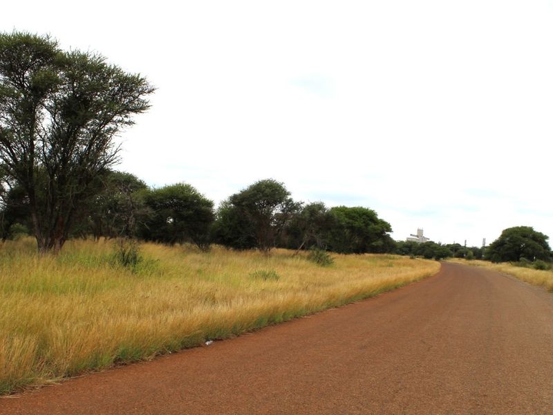 A view of a rural unpaved road bordered by native trees and dry grassland, typical of vacant residential land access.