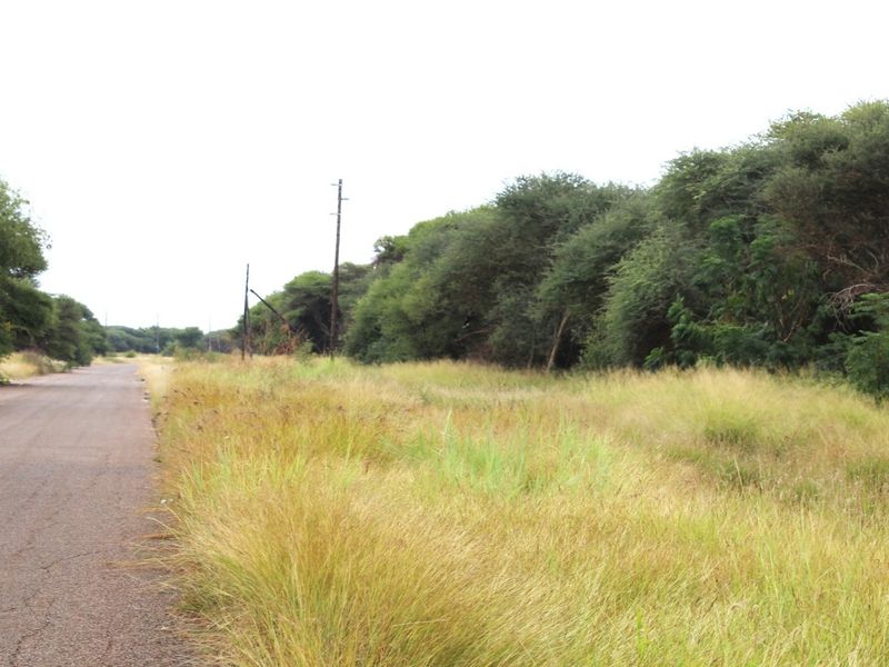 A view of the asphalt road frontage adjacent to the vacant residential land, featuring established trees and utility infrastructure.