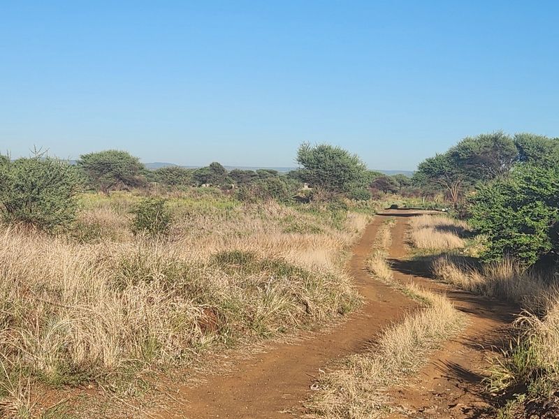 A view of a vacant residential plot featuring a dirt access road, native vegetation, and a partially constructed masonry structure on the property.