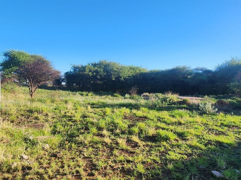 A view of the vacant commercial land featuring natural grass cover and established trees, providing a clear perspective of the property's current state.