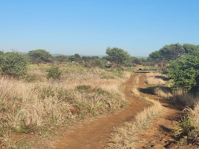 A view of the vacant commercial land featuring a dirt access road and natural vegetation, suitable for future development.