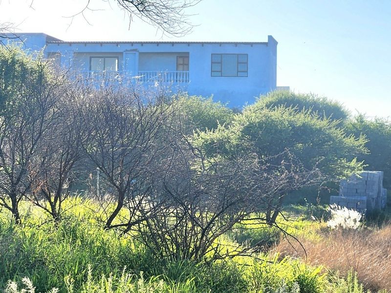 Rear view of a blue commercial building structure partially obscured by overgrown vegetation and trees on the vacant land plot.