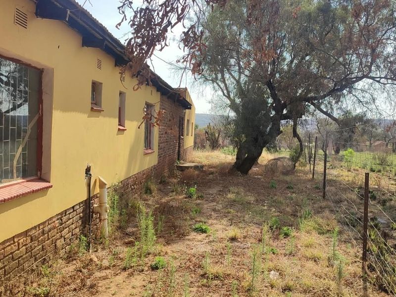 Rear exterior view of the property showing brick and plastered wall construction, security window bars, and surrounding garden area.