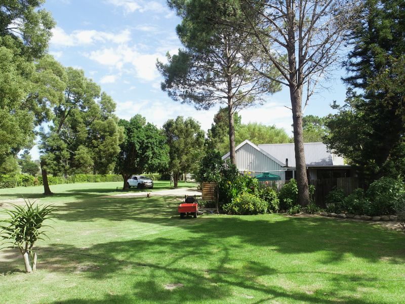 Unmatched Country Living in the Garden Route - Rheenendal Smallholding - Photo 4
