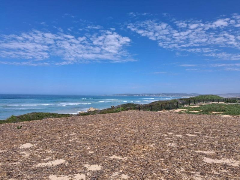 A scenic view of the coastline and ocean from the vacant residential property, featuring natural coastal vegetation and perimeter fencing.