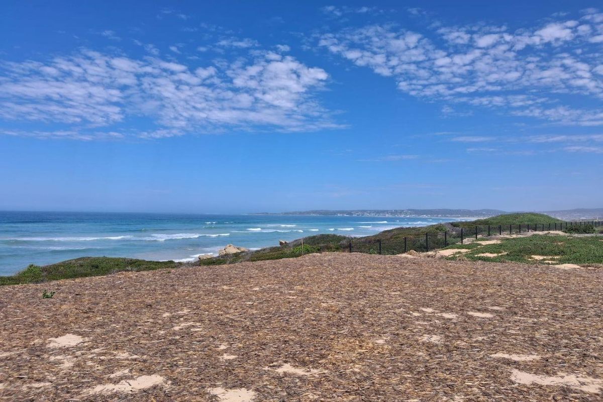 A scenic view of the coastline and ocean from the vacant residential property, featuring natural coastal vegetation and perimeter fencing.