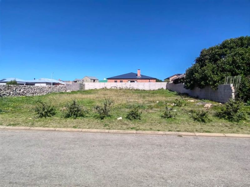 A vacant residential plot featuring established boundary walls and direct street access, ready for development in a quiet neighborhood.