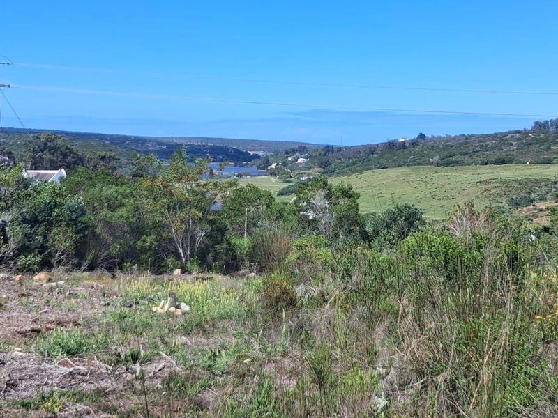 A scenic view overlooking a natural landscape with rolling hills and distant water, featuring native vegetation and existing utility infrastructure.