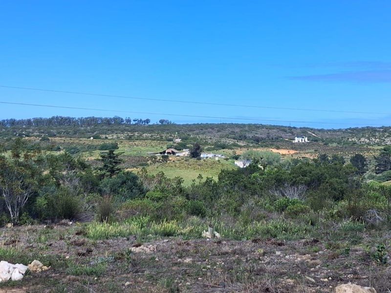 A wide-angle view of the surrounding landscape and natural vegetation, showcasing the open terrain and distant rural structures.