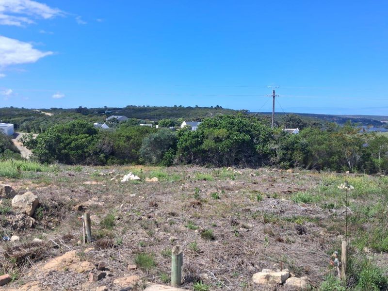 A view of the vacant residential land featuring natural vegetation and surrounding landscape with a utility pole visible in the distance.