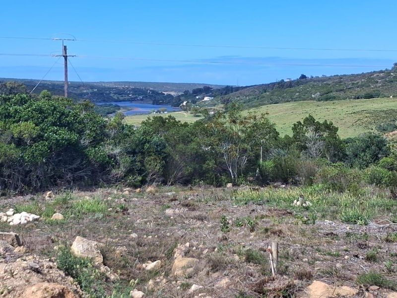 A scenic view overlooking a natural landscape with rolling hills and a distant water body, featuring native vegetation and utility infrastructure.
