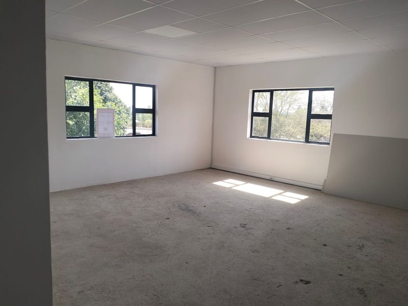 An empty, open-plan office space featuring a suspended ceiling, large aluminium-framed windows, and unfinished concrete flooring, ready for custom fit-out.