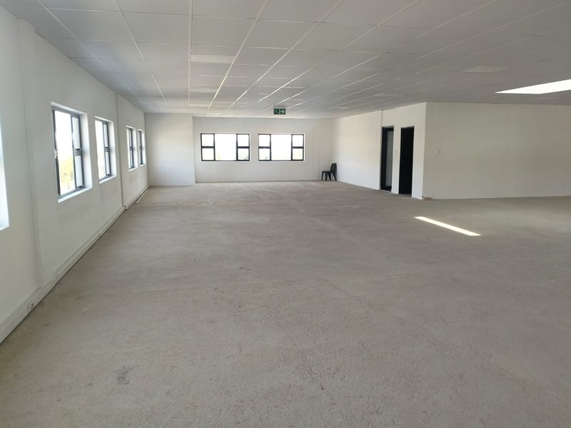 A spacious, open-plan office area featuring a suspended ceiling, recessed lighting, and large windows, currently presented as a blank canvas with unfinished concrete flooring.