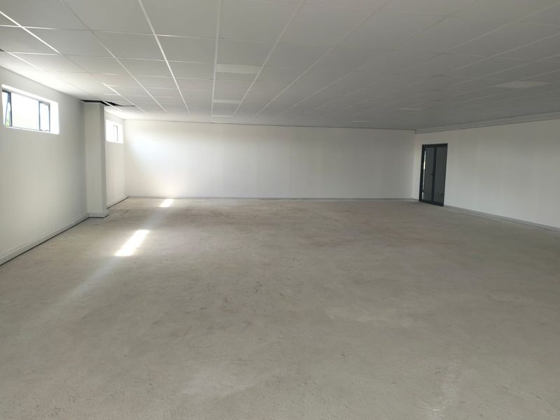 A spacious, open-plan office area featuring a suspended ceiling, concrete flooring, and natural light from side windows, ready for custom fit-out.