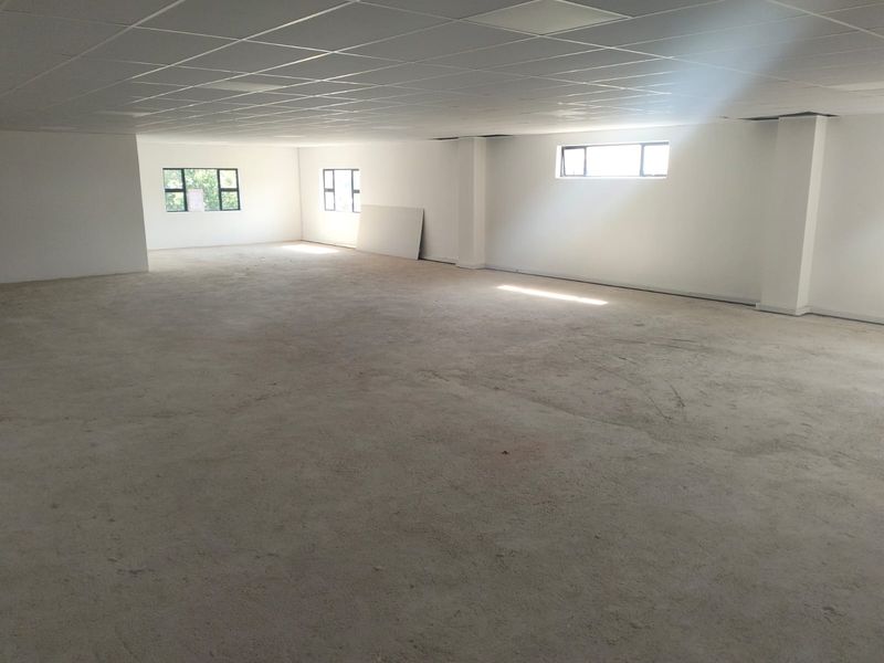 A large, open-plan office space featuring a suspended ceiling, aluminium windows, and unfinished concrete flooring, offering a blank canvas for custom fit-out.