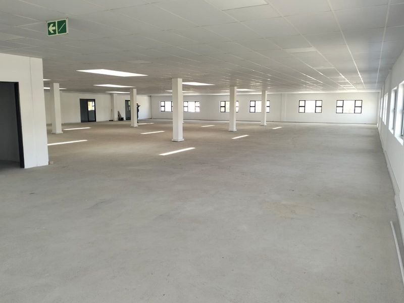A large, open-plan office space featuring a suspended ceiling, recessed lighting, and structural columns, offering a versatile layout for various business configurations.