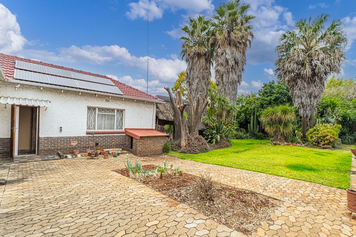 Rear view of the property featuring a paved courtyard, established garden with mature palm trees, and roof-mounted solar panels.