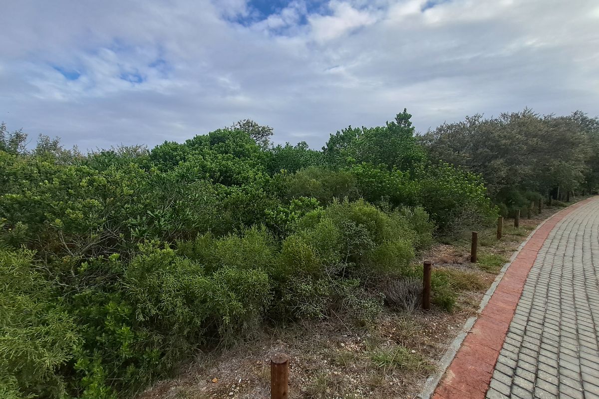 Vacant Land In Monate Eco Estate - Photo 4