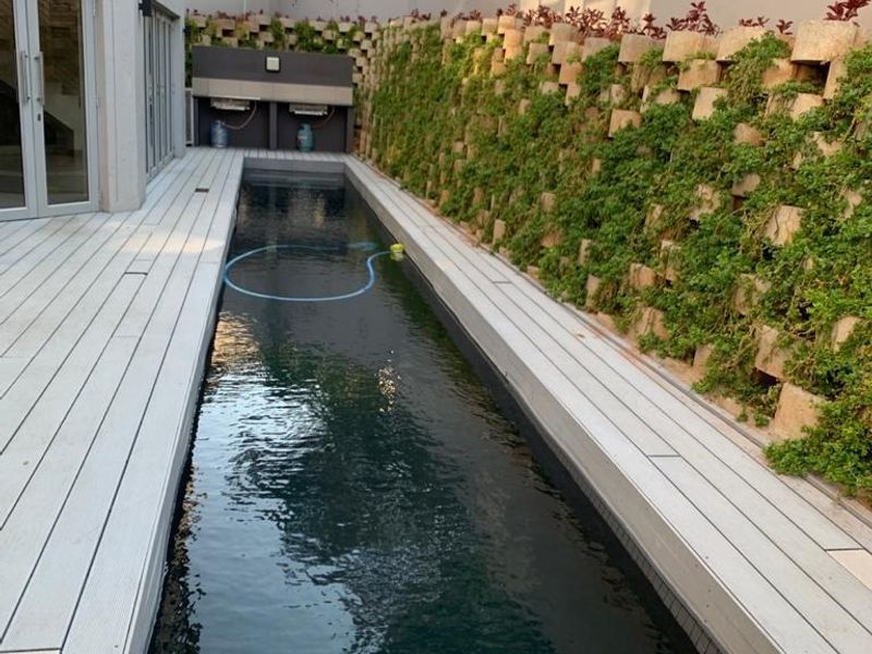 A modern lap pool area featuring composite decking, a landscaped retaining wall, and a built-in outdoor braai station.