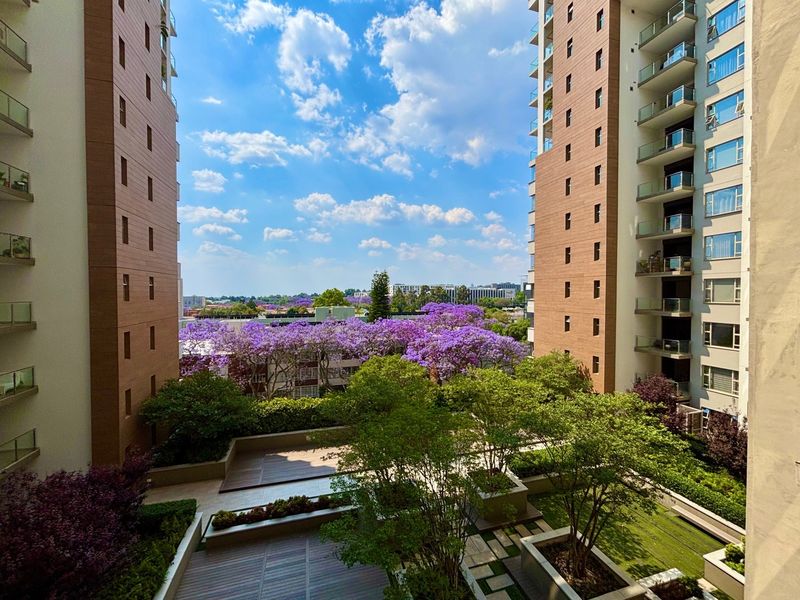 A scenic elevated view overlooking a well-maintained apartment complex courtyard with lush landscaping, timber decking, and vibrant flowering trees.
