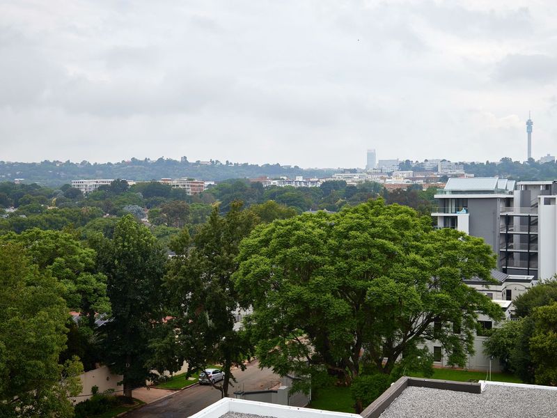 Elevated panoramic view overlooking the surrounding neighborhood, lush greenery, and distant city skyline.