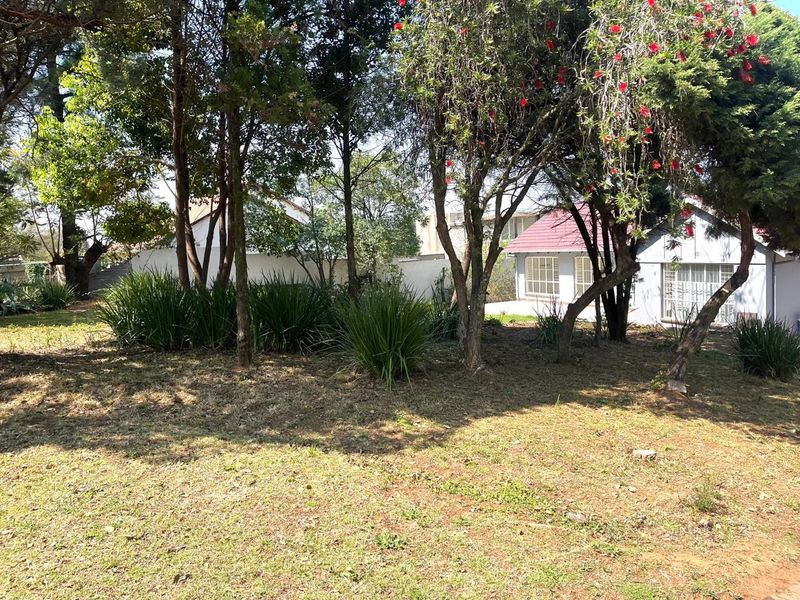 A view of a residential garden featuring mature trees, established landscaping, and a boundary wall, providing a private outdoor space.