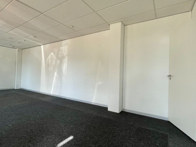 A clean, empty office space featuring a suspended ceiling, recessed lighting, and dark carpeted flooring, providing a neutral environment for professional use.