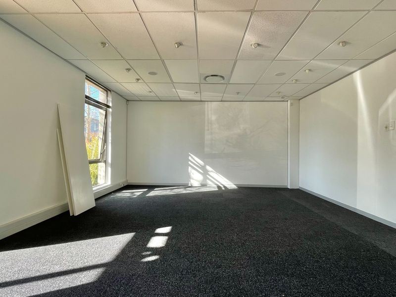 A bright, empty office space featuring a suspended ceiling, recessed lighting, and dark carpeted flooring with natural light from a large window.