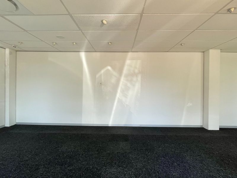 A clean, empty office space featuring a suspended ceiling with recessed lighting and dark carpet flooring, ready for professional fit-out.