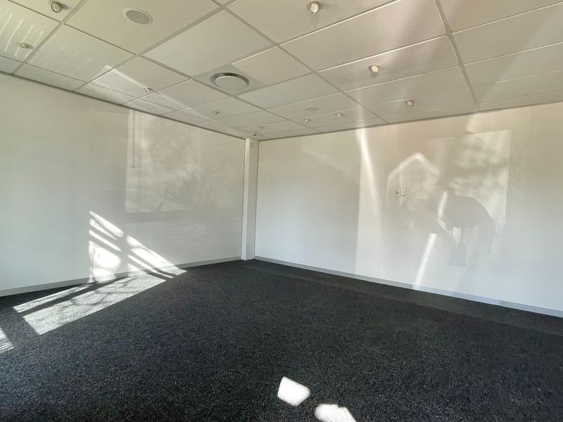 A bright, empty office space featuring a suspended ceiling with recessed lighting and dark carpeted flooring, providing a clean and professional work environment.